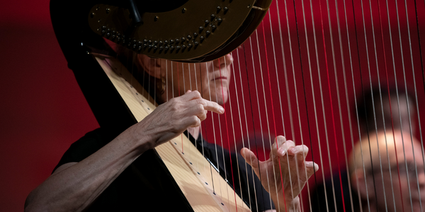 An up close image of the hands of a person playing the harp