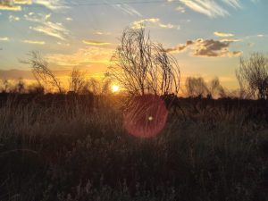 IMG20260422180414